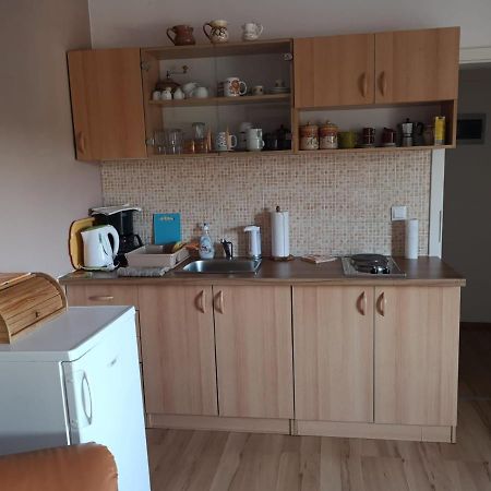 Apartment Samanta Шишан Экстерьер фото