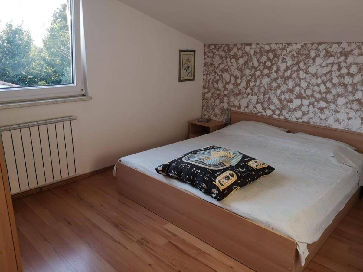 Apartment Samanta Шишан Экстерьер фото