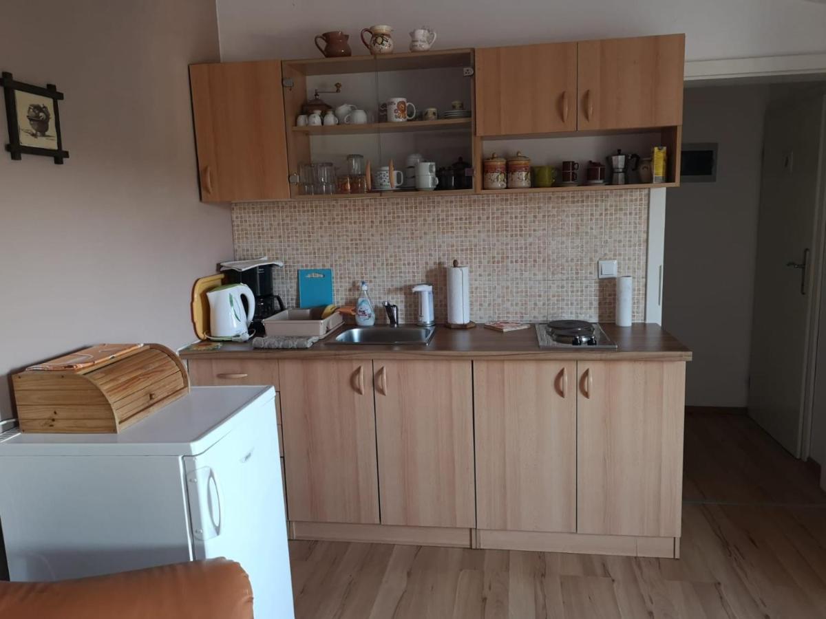 Apartment Samanta Шишан Экстерьер фото