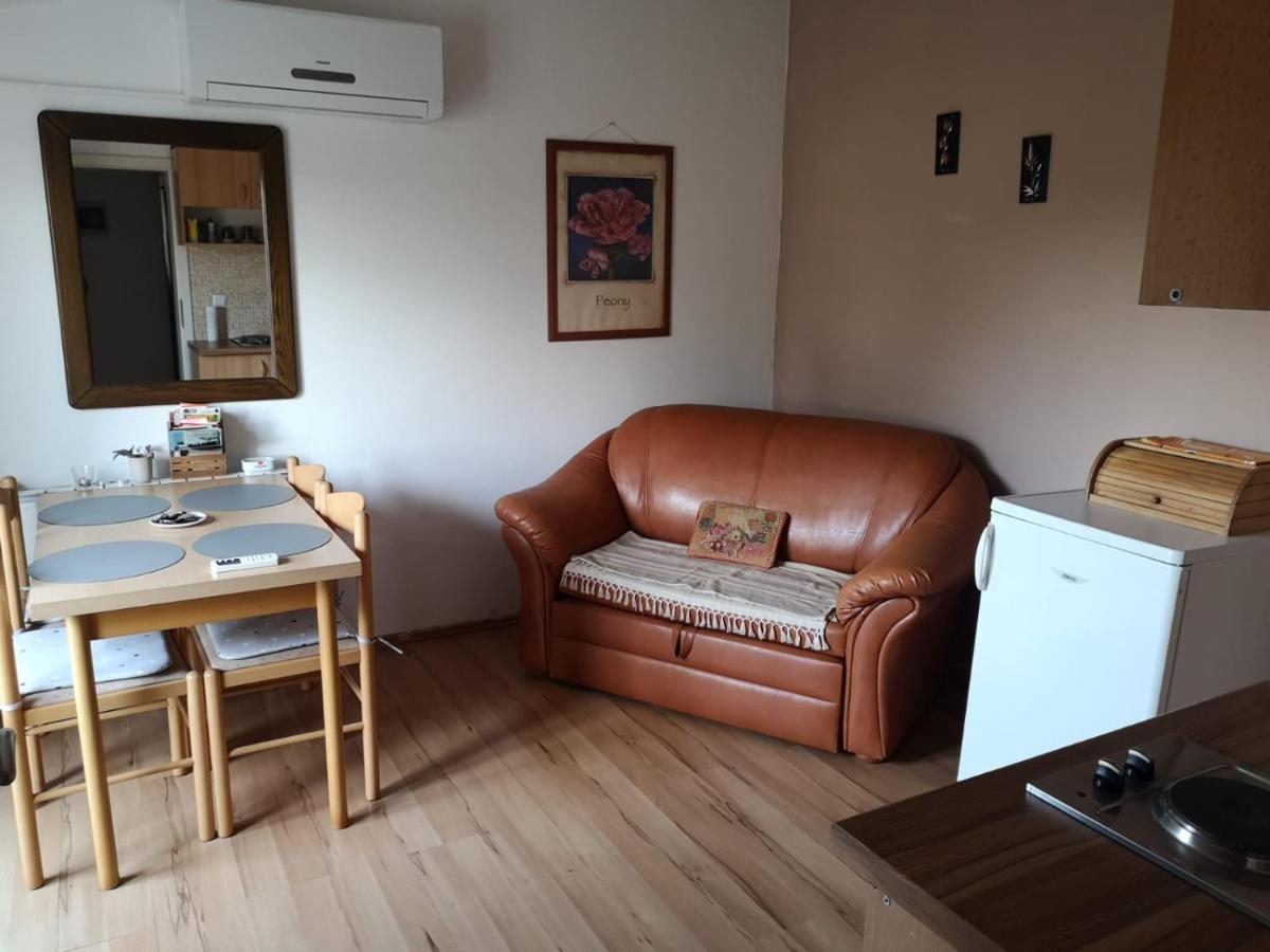 Apartment Samanta Шишан Экстерьер фото